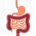 Icon representing gut health