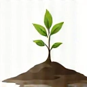 Plant sprout icon